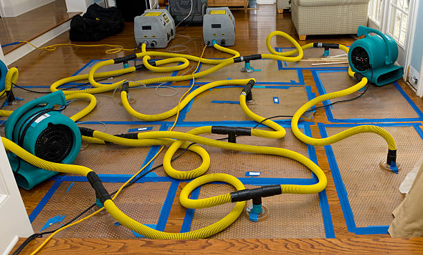 Professional Crawl Space Water Removal technician working in New Florence, MO